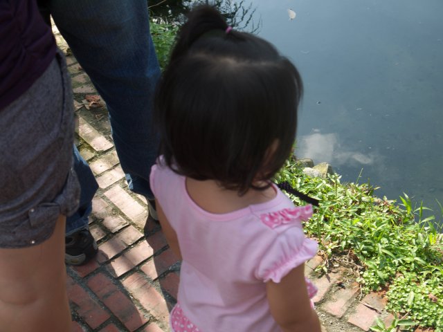 p1020423